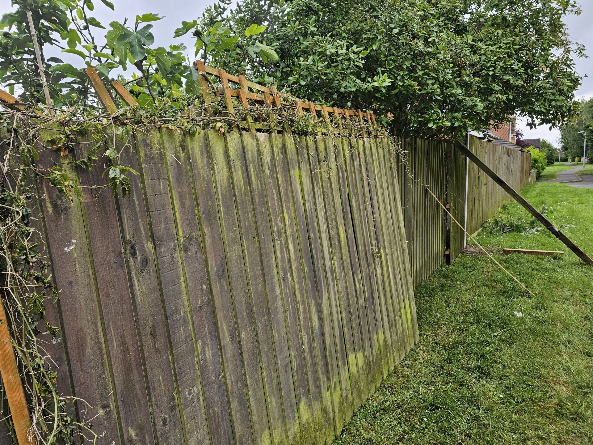 Before — Fence replacement